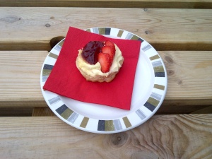 cream tea combe martin
