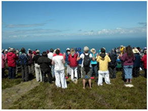Pray Camino Devon Uk